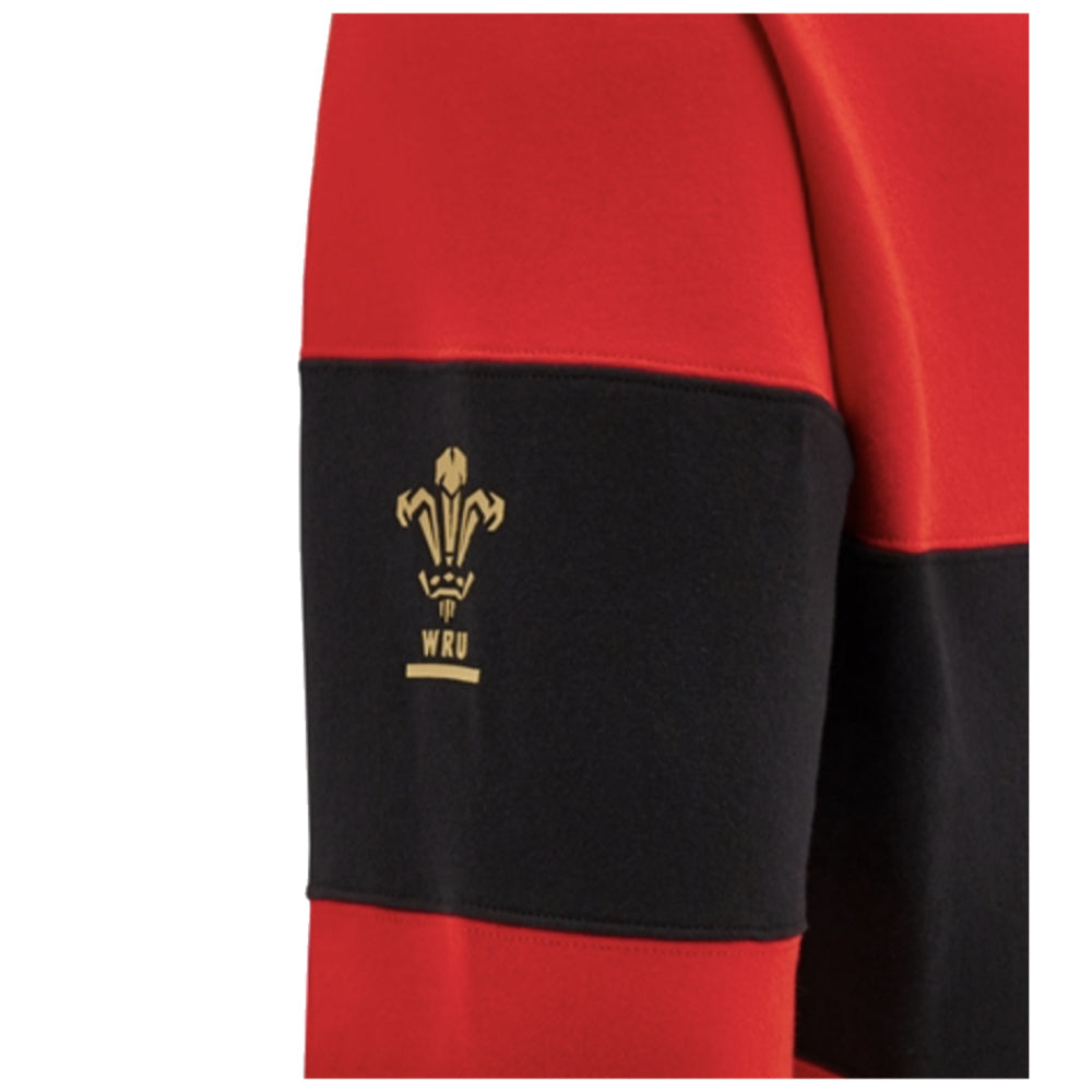 2024-2025 Wales Rugby Leisure Hoody Sweatshirt (Red)_2