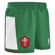2024-2025 Wales Rugby Away Shorts (Green)_1