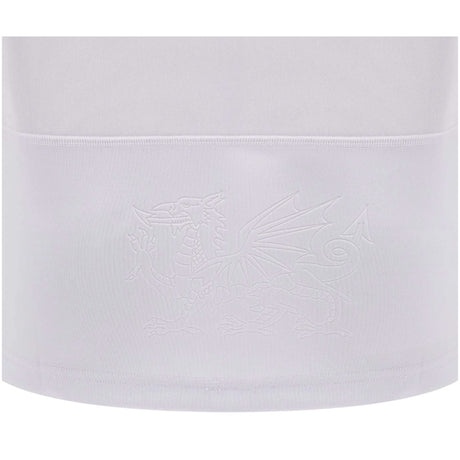 2024-2025 Wales Rugby Away Replica Shirt_2