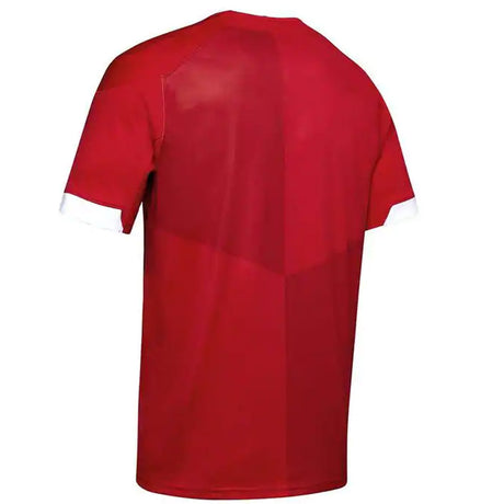 Wales Rugby RWC 2019 Home Shirt (Kids)_1