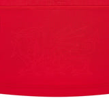 2026-2027 Wales WRU Rugby Cotton Home Shirt (Kids)_5