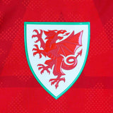 2026-2027 Wales Pre Match Lightweight Jacket (Red)_3