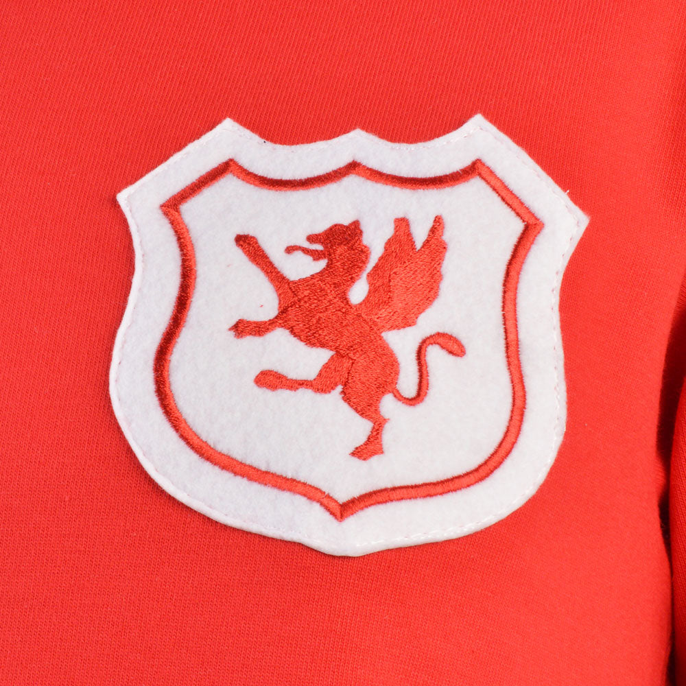 Wales Short Sleeve Kids Red Retro Football Shirt_2