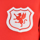 Wales Short Sleeve Kids Red Retro Football Shirt_2