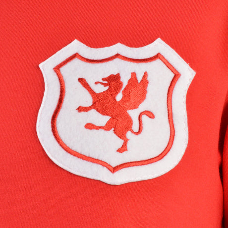 Wales Short Sleeve Kids Red Retro Football Shirt_2
