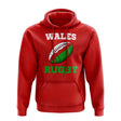 Wales Rugby Ball Hoody (Red)_1
