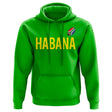 Bryan Habana Springboks Rugby Hoody (Green)_0