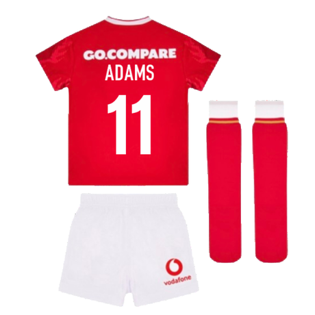 2024-2025 Wales Home Rugby Mini Kit (Adams 11)_2