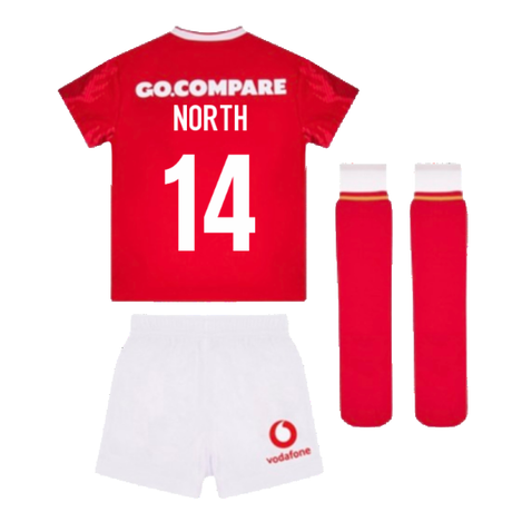 2024-2025 Wales Home Rugby Mini Kit (North 14)_2