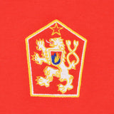 Czechoslovakia 1976 European Champions Kids Shirt_1