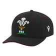 2023-2024 Wales Rugby 3D Baseball Cap (Black)_1