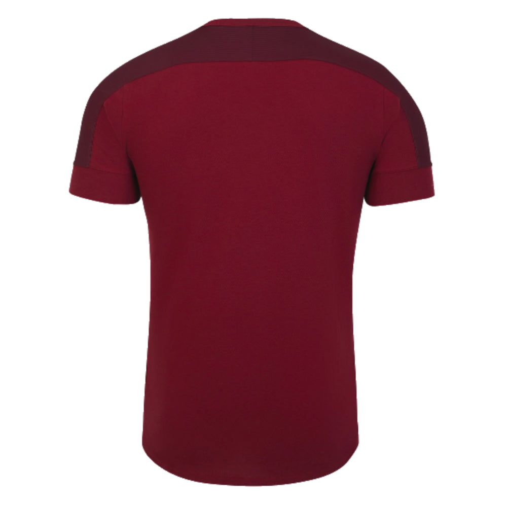 2023-2024 England Rugby Presentation T-Shirt (Tibetan Red) (Wilkinson 10)_4