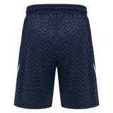 2024-2025 Scotland Rugby Basketball Shorts (Navy)_2