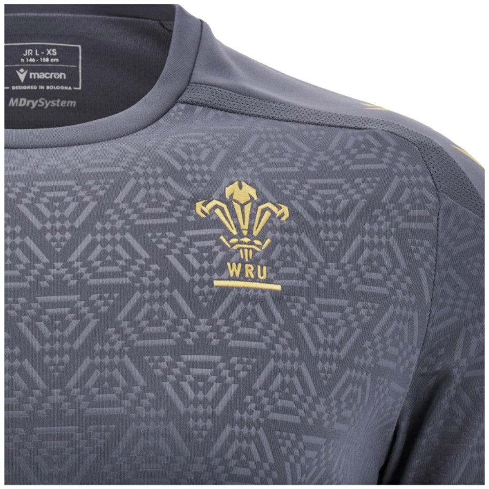 2024-2025 Wales WRU Rugby Training Poly Shirt (Anthracite) - Kids_3
