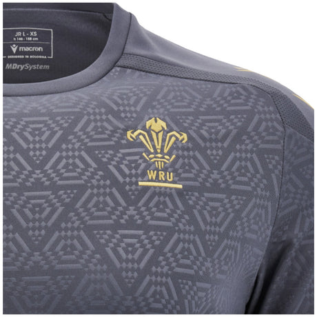 2024-2025 Wales WRU Rugby Training Poly Shirt (Anthracite) - Kids_3