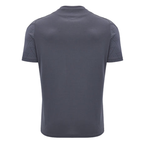 2024-2025 Wales Rugby Training Poly Shirt (Anthracite) (Halfpenny 15)_2