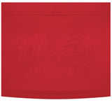 2024-2025 Wales WRU Home Replica Rugby Shirt (Womens)_2