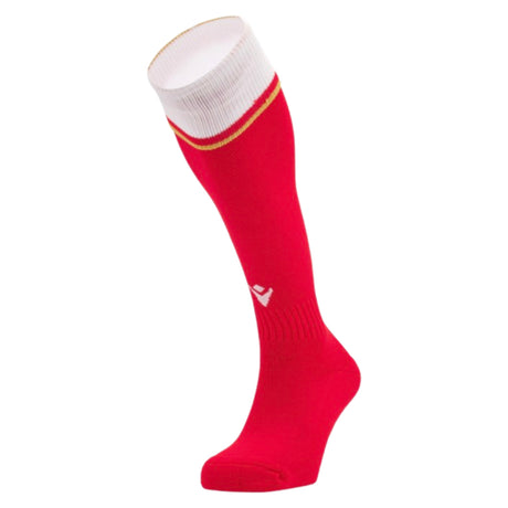 2024-2025 Wales WRU Rugby Home Socks (Red)_2