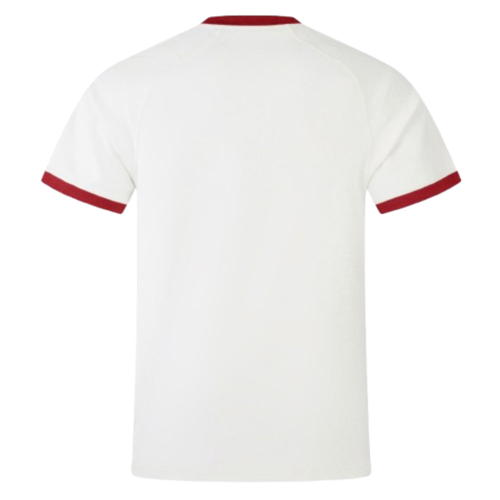 2024-2025 British and Irish Lions Replica Training Jersey (Cream) (Your Name)_2