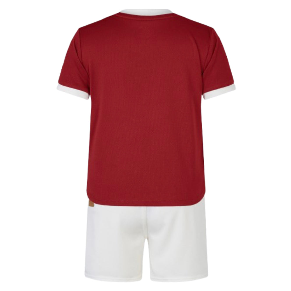 2024-2025 British and Irish Lions Home Rugby Mini Kit_3