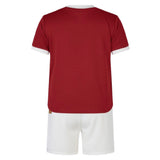 2024-2025 British and Irish Lions Home Rugby Mini Kit_3