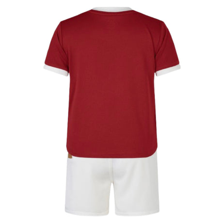 2024-2025 British and Irish Lions Home Rugby Mini Kit_3