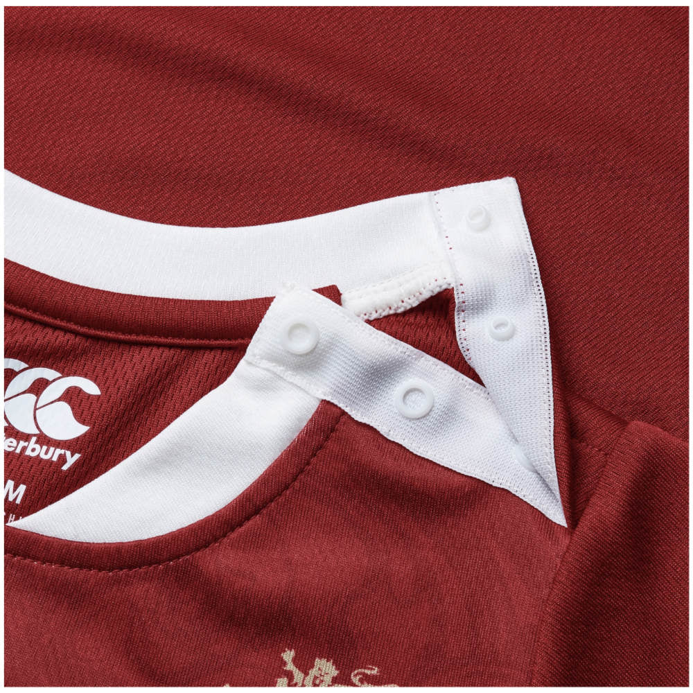2024-2025 British and Irish Lions Home Rugby Mini Kit_3