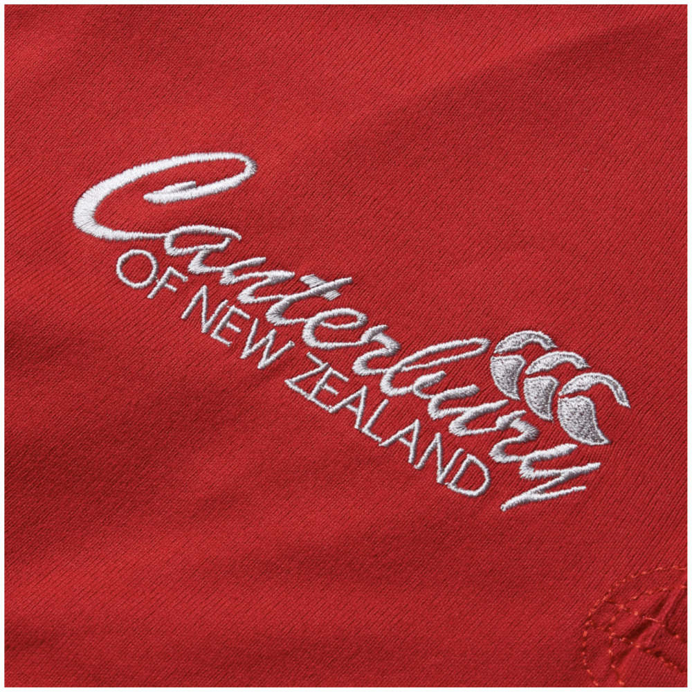 2025 British and Irish Lions Heritage OS Jersey Unisex (Red)_3