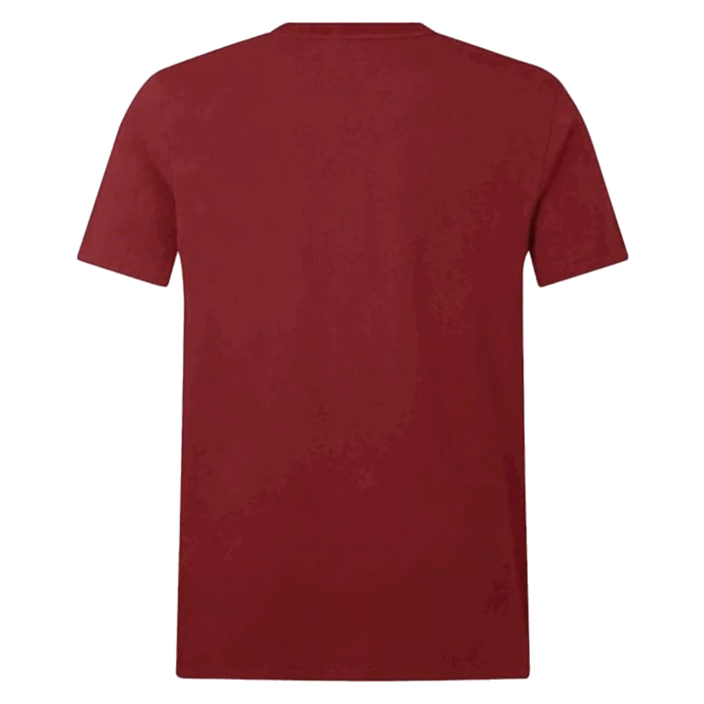 2025 British & Irish Lions Cotton Jersey T-Shirt (Red)_2