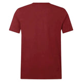 2025 British & Irish Lions Cotton Jersey T-Shirt (Red)_2