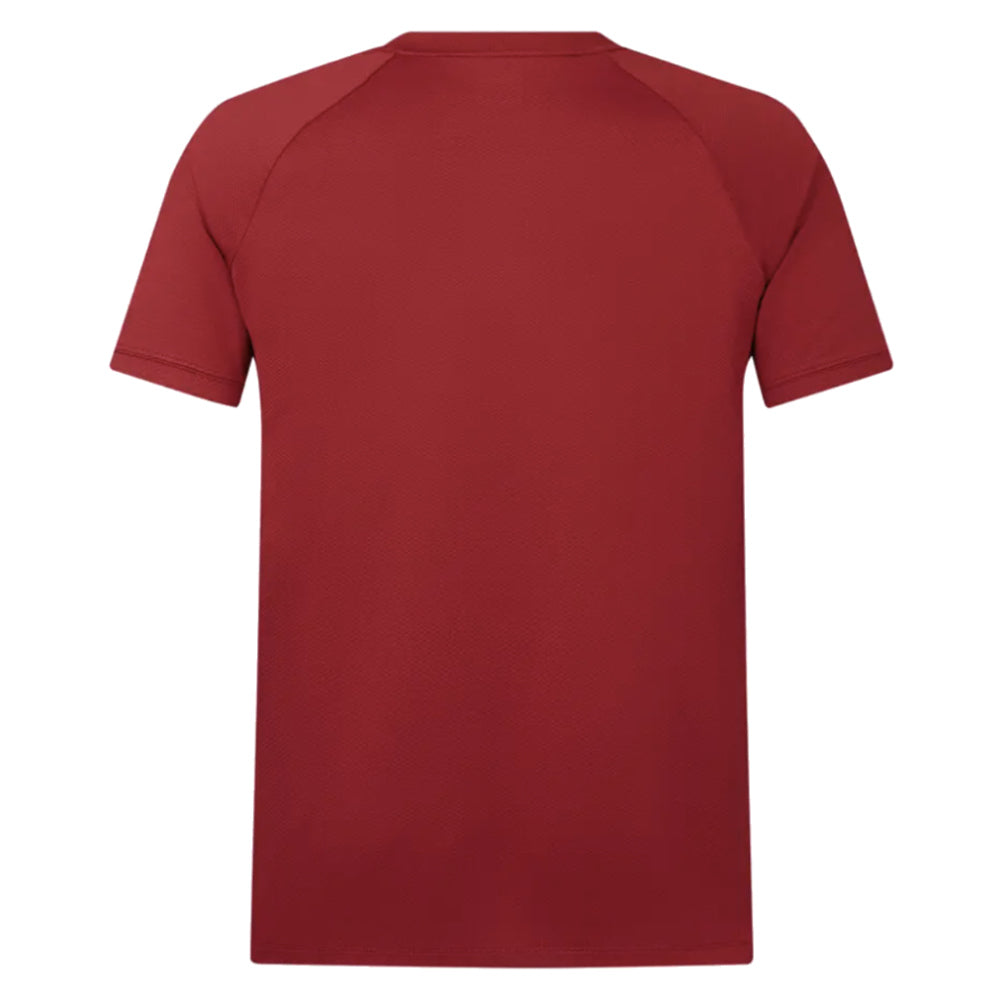 2025 British & Irish Lions Poly Polo Shirt (Red)_2