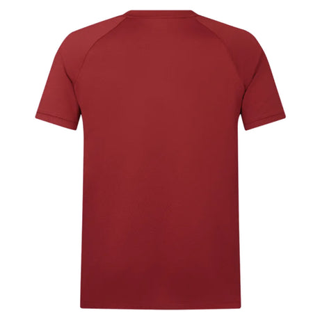 2025 British & Irish Lions Poly Polo Shirt (Red)_2