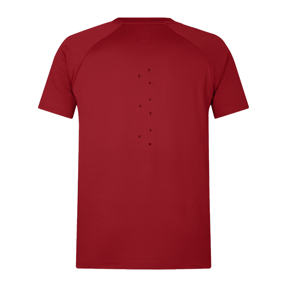 2025 British & Irish Lions Everest Tee (Red) (Your Name)_2
