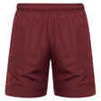 2025-2026 Wales Rugby Travel Bermuda Shorts (Deep Red)_3