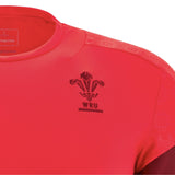 2025-2026 Wales WRU Training Player Shirt (Red)_3