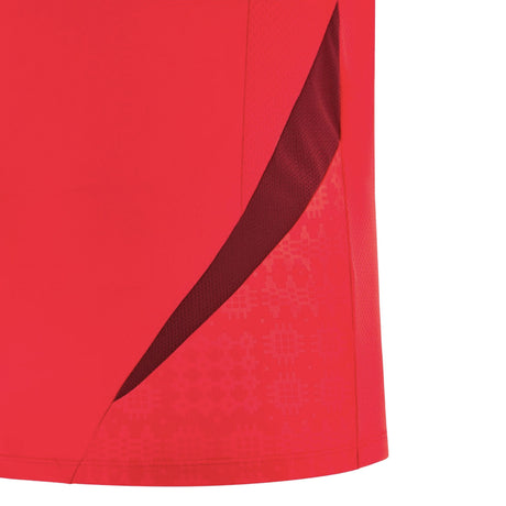 2025-2026 Wales WRU Training Player Shirt (Red)_3