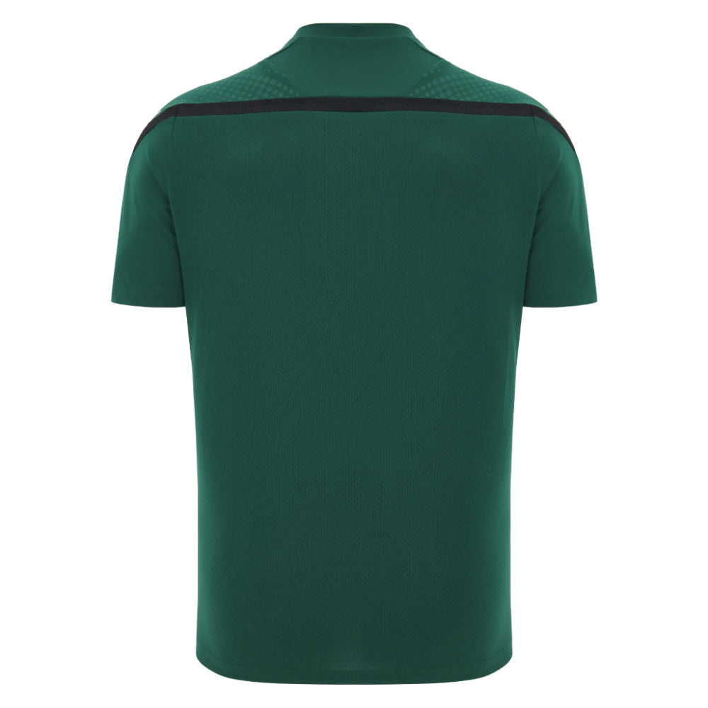 2026-2027 Wales WRU Rugby Player Training Shirt (Green)_1