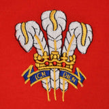 Wales Rugby World Cup Polo_2