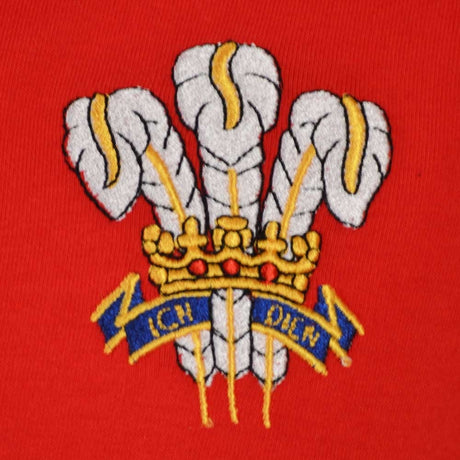 Wales Rugby World Cup Polo_2