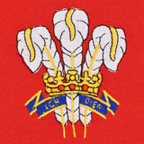 Wales 1976 Vintage Rugby Shirt_3