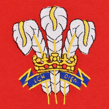 Wales 1976 Vintage Rugby Shirt_3
