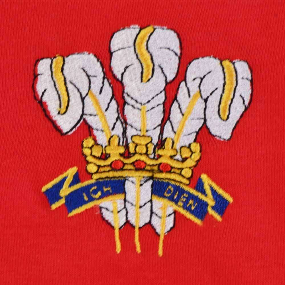 Wales Rugby T-Shirt - Red/White Ringer_2