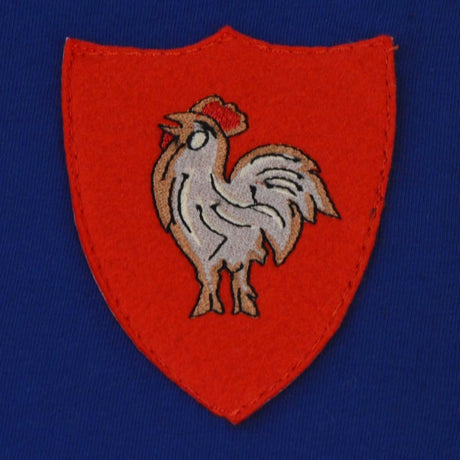 France Rugby T-Shirt - Royal_2