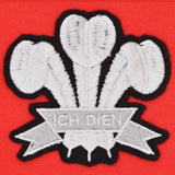 Wales 1905 Vintage Rugby Zipped Hoodie - Red_2