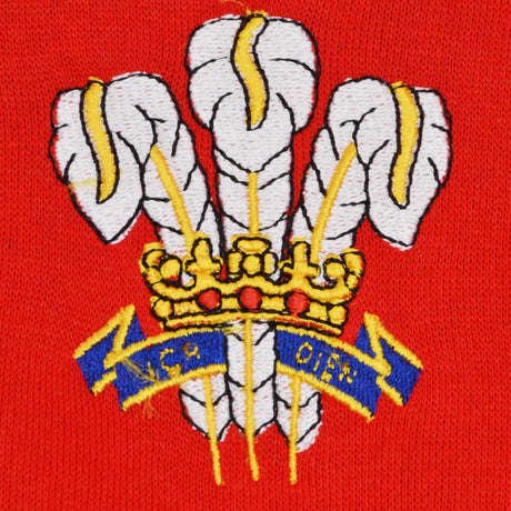 Kids Wales Hoodie - Red/White_1