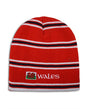 Wales Rwc 2015 Scarf_0